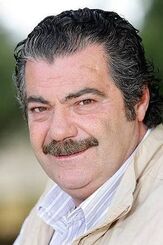 Доменико Миньеми