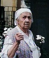 Властимила Влкова
