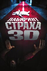Лабиринт страха - лучший фильм в фильмографии Эрина Мидзуно