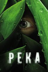 Река из фильмографии Уолтер Перес в главной роли.