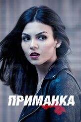 Приманка - лучший фильм в фильмографии Джессика Сула