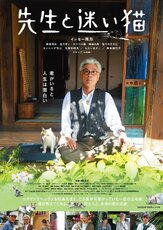 Учитель и бездомный кот - лучший фильм в фильмографии Иссэй Огата