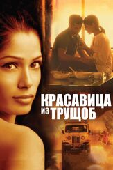 Красавица из трущоб - лучший фильм в фильмографии Мэгс Арнольд