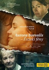 Аврора Бореалис: Северное сияние из фильмографии Николас Уиттман в главной роли.