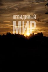 Невидимый мир из фильмографии Даниэл Резенде в главной роли.