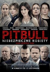 Питбуль. Опасные женщины - лучший фильм в фильмографии Лукаш Таргош