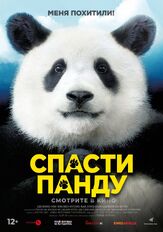 Спасти панду - лучший фильм в фильмографии Каль Со-вон
