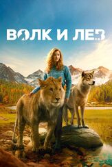 Волк и лев - лучший фильм в фильмографии Молли Кунц