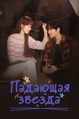 Падающая звезда - лучший фильм в фильмографии Чхэ Джон-хёп