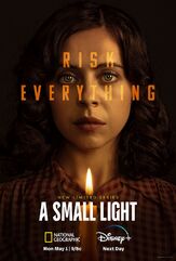 Маленький огонёк из фильмографии Лив Шрайбер в главной роли.