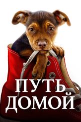 Путь домой - лучший фильм в фильмографии Хавьер ЛаКруа
