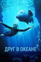 Друг в океане из фильмографии Эрик Бана в главной роли.