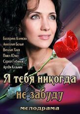 Я тебя никогда не забуду из фильмографии Павел Юлку в главной роли.