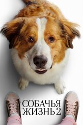 Собачья жизнь 2 из фильмографии Джош Гэд в главной роли.
