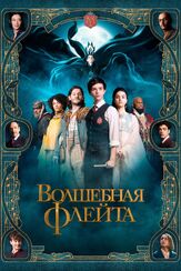 Волшебная флейта - лучший фильм в фильмографии Амир Уилсон