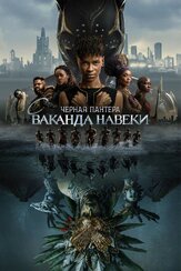 Чёрная Пантера: Ваканда навеки из фильмографии Анджела Бассетт в главной роли.