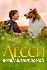 Лесси. Возвращение домой из фильмографии Фёдор Парамонов в главной роли.