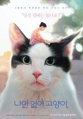Привет, кот - лучший фильм в фильмографии Ким Хи-чхоль