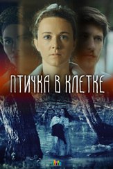 Птичка в клетке из фильмографии Александр Левин в главной роли.