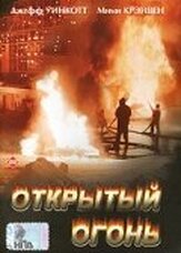 Открытый огонь - лучший фильм в фильмографии Дайан Робин