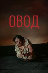 Овод из фильмографии Владимир Этуш в главной роли.