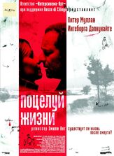 Поцелуй жизни из фильмографии Мюррэй Голд в главной роли.