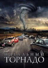 Идеальный торнадо - лучший фильм в фильмографии Майкл Зелникер