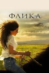 Флика - лучший фильм в фильмографии Даллас Робертс