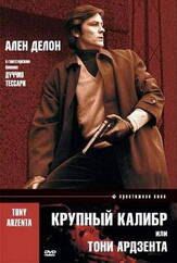 Крупный калибр из фильмографии Ален Делон в главной роли.