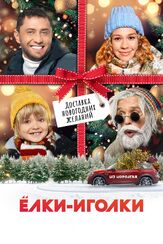 Ёлки-иголки из фильмографии Анастасия Веденская в главной роли.