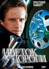 Цветок у дороги - лучший фильм в фильмографии Алексондра Ли