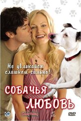 Собачья любовь из фильмографии Малин Акерман в главной роли.