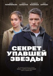 Секрет упавшей звезды