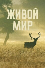 Живой мир из фильмографии Арман Амар в главной роли.
