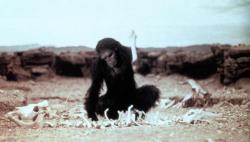Фото 2001 год: Космическая одиссея