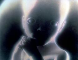 Фото 2001 год: Космическая одиссея
