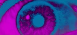 Фото 2001 год: Космическая одиссея