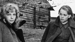 Обои ...А зори здесь тихие