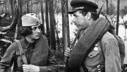 Обои ...А зори здесь тихие