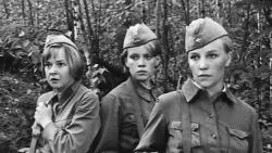 Обои ...А зори здесь тихие