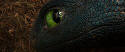 Обои How to Train Your Dragon