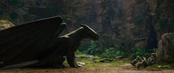 Обои How to Train Your Dragon