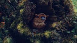 Обои The Legend of Ochi
