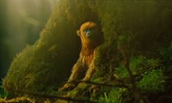 Обои The Legend of Ochi