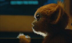 Обои The Legend of Ochi