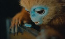 Обои The Legend of Ochi