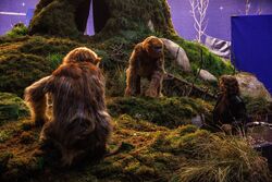 Обои The Legend of Ochi