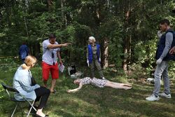 Обои В тени больших чисел. По следу дождя