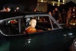 Фото Барракуда