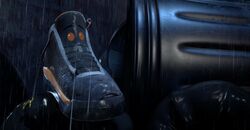 Обои Sneaks